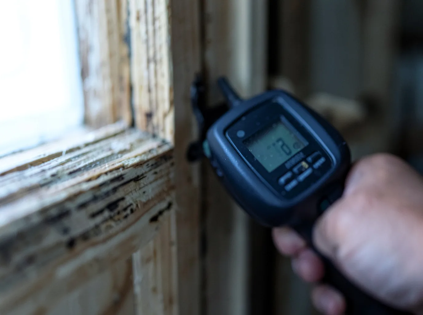 Moisture Inspection And Documentation in Buffalo, WY